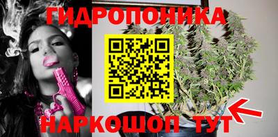 ГАЛЛЮЦИНОГЕННЫЕ ГРИБЫ Малоярославец
