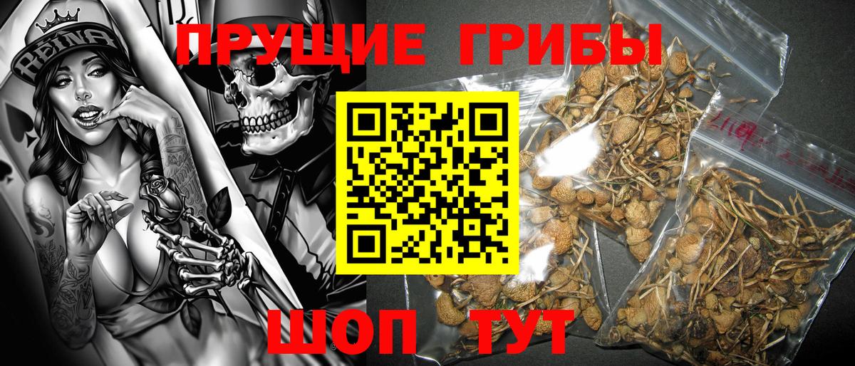 Галлюциногенные грибы мухоморы  Вход с VPN  Верхняя Пышма 